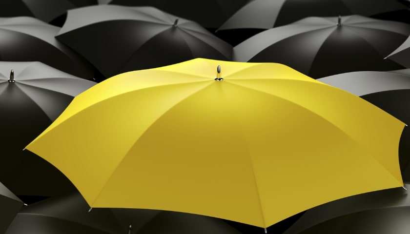 Diversos guarda-chuvas na cor preta e um amarelo