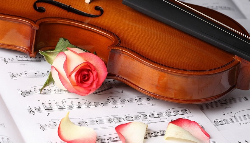 Violino, pauta, rosa e pétalas de rosas de rosas