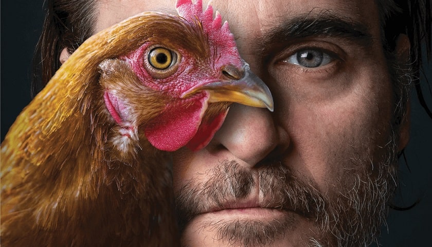 Rosto de homem com uma galinha na frente confundindo o olho do humano com o olho da ave