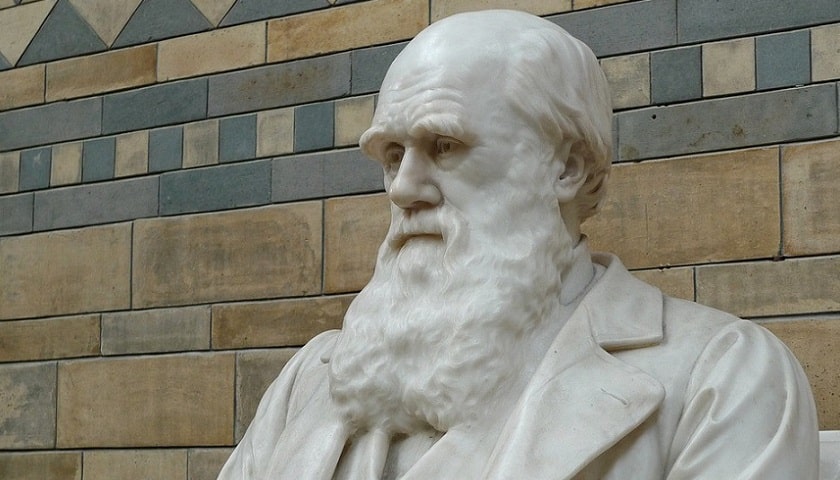 A foto de estátua de Charles Darwin (1809 – 1882), exposta no Museu de História Natural de Londres.