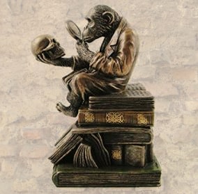 Macaco sentado sobre livros analisando ossos cranianos.
