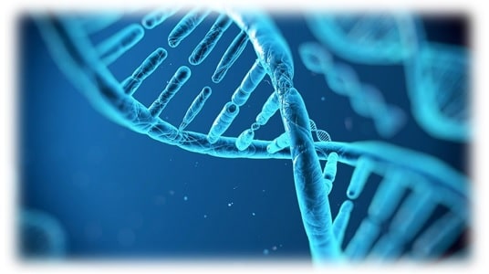 DNA Azul (Pequeno)
