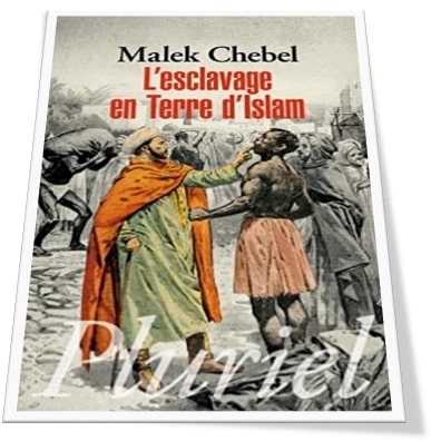 Capa da obra: "L'esclavage En Terre D'islam", escrita por Malek Chebel