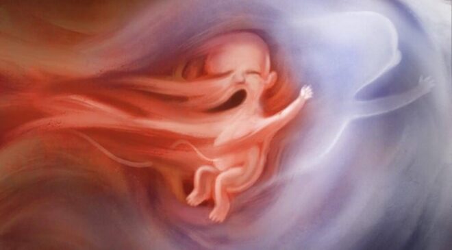 Não se deixem enganar pela “indústria bilionária do aborto”