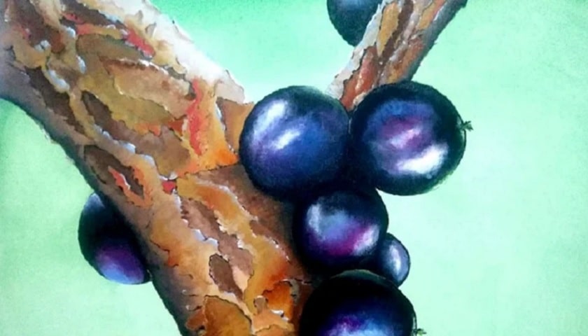 Obra: "Jabuticabas" (2019), por Rosângela Vig.