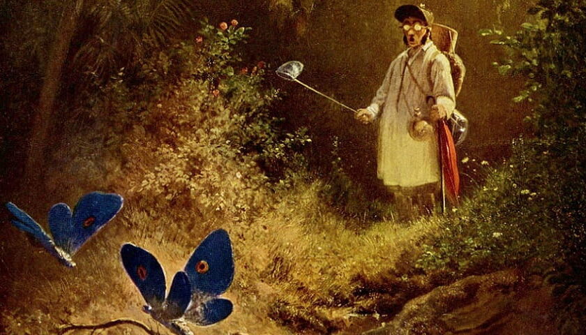 Recorte da obra: "The Butterfly Hunter" (1840), de Carl Spitzweg (1808–1885).