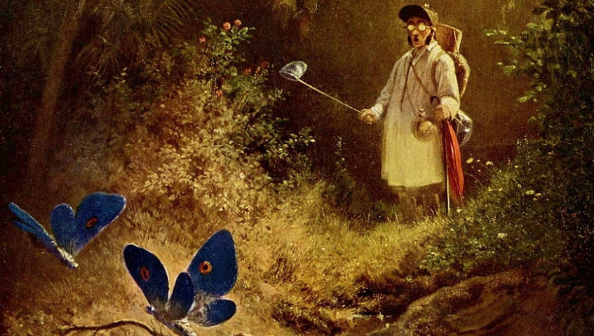Recorte da obra: "The Butterfly Hunter" (1840), de Carl Spitzweg (1808–1885).